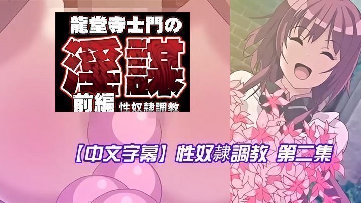  【中文字幕】性奴隷調教 第二集 